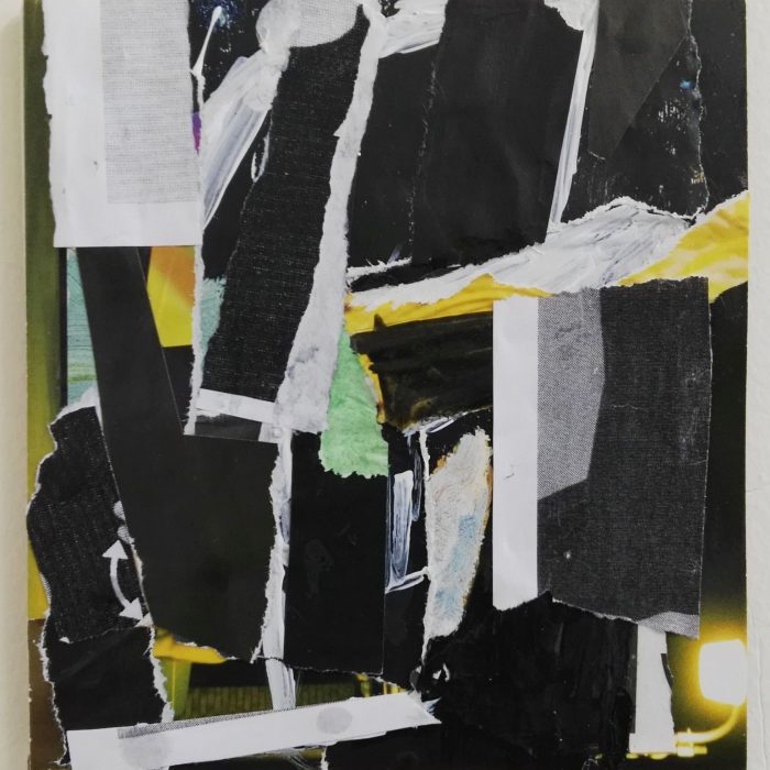 FIONA HALSE